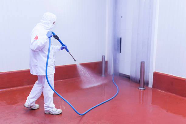 Best Warehouse Cleaning  in Muttontown, NY