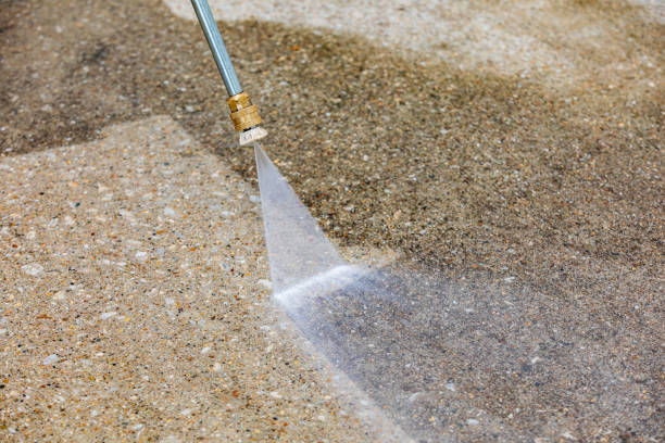 Animal Enclosure Cleaning in Muttontown, NY